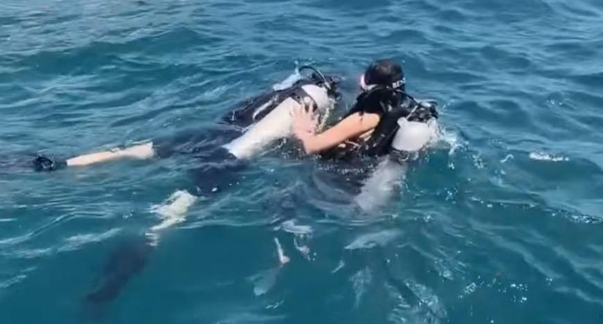 Rescue and EFR in sea